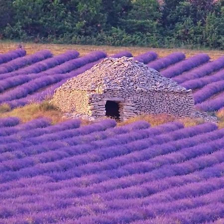 Entre Ventoux Et Luberon Chambre D'Hote Sault Exterior foto